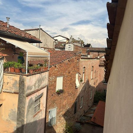 La Casa Del Galletto - At The Top Of The City Lucca Exterior photo